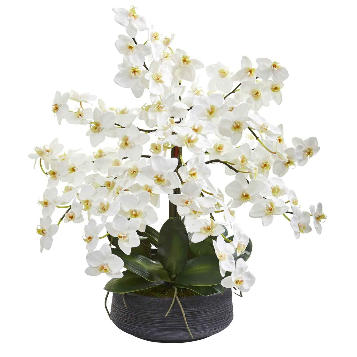 25” Phalaenopsis Orchid Artificial Arrangement in Decorative Bowl