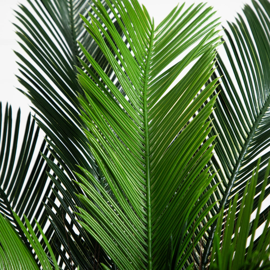 3’ Cycas Palm Tree UV Resistant (Indoor/Outdoor)