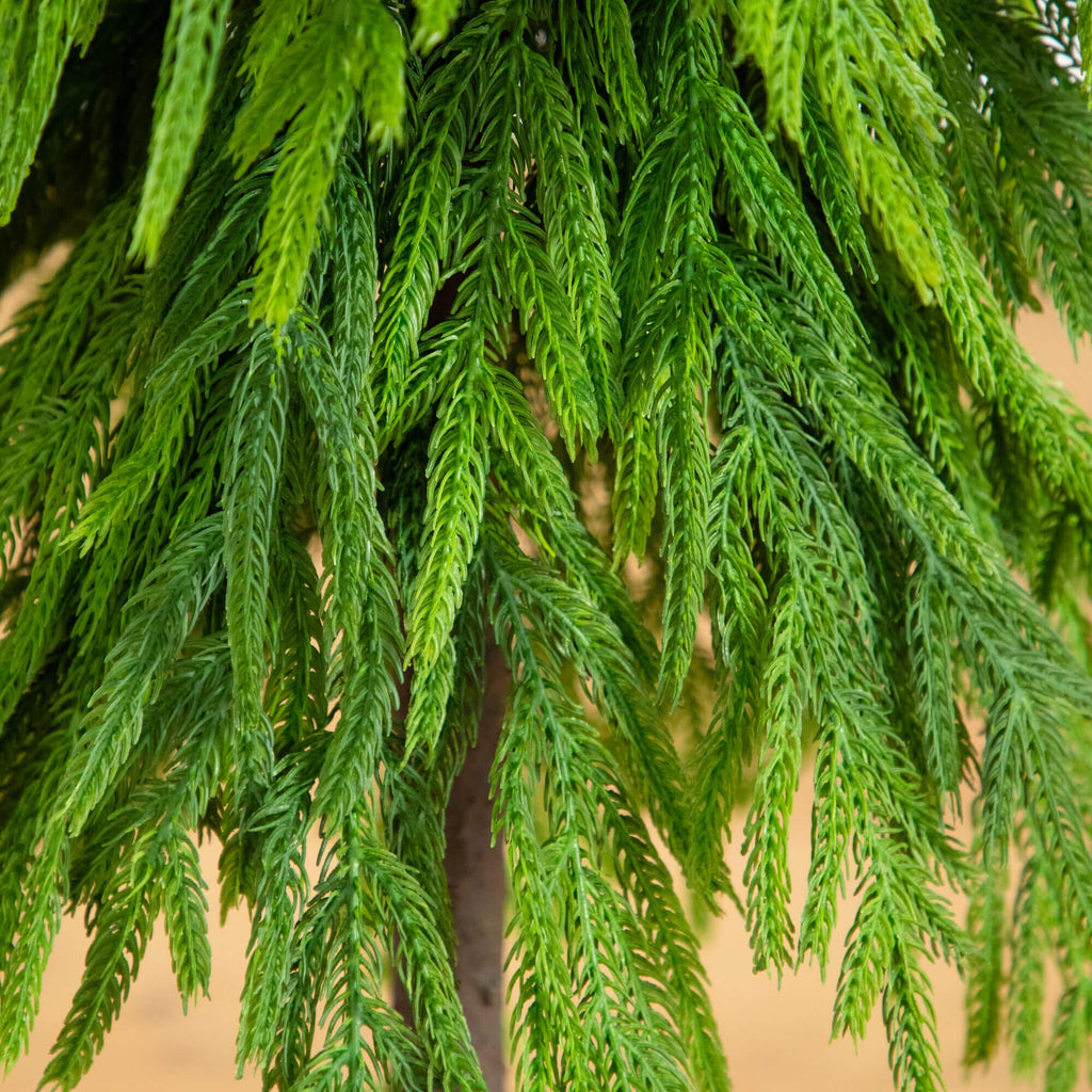 3' Artificial Real Touch Down Swept Norfolk Pine Tree with Natural Look