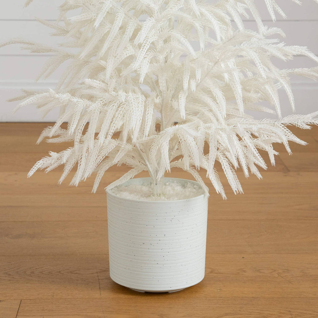 3' Artificial Real Touch White Norfolk Island Pine Christmas Tree with Natural Look