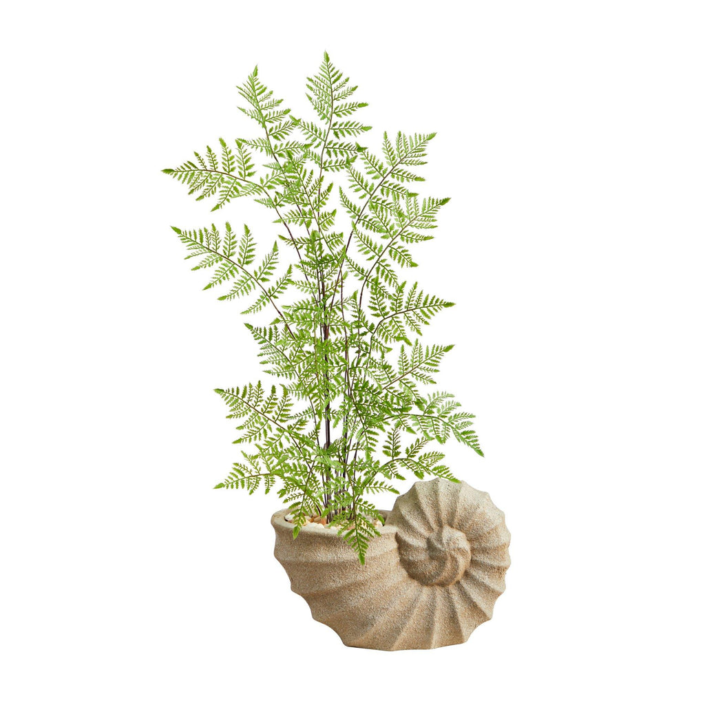 3’ Ruffle Fern Artificial Tree in Shell Shaped Planter