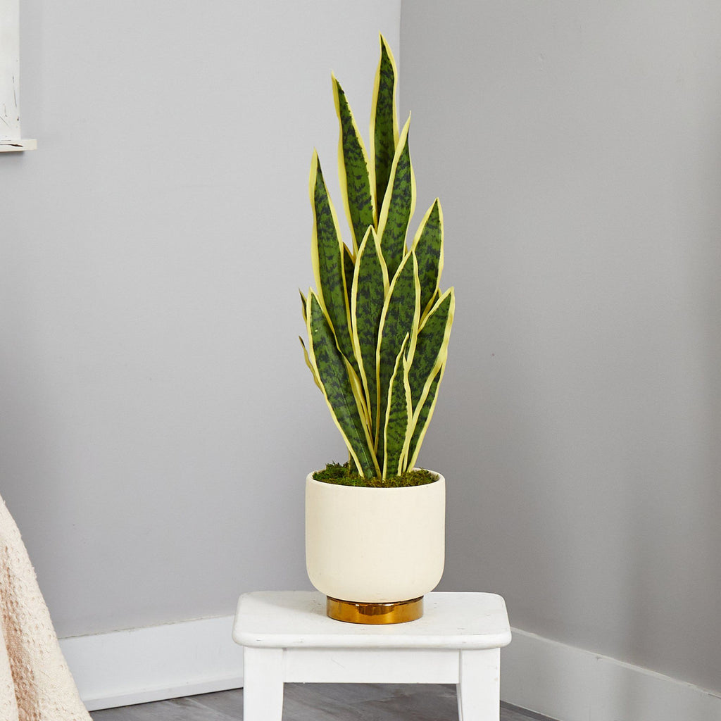 3’ Sansevieria Artificial Plant in Cream Planter with Gold Base