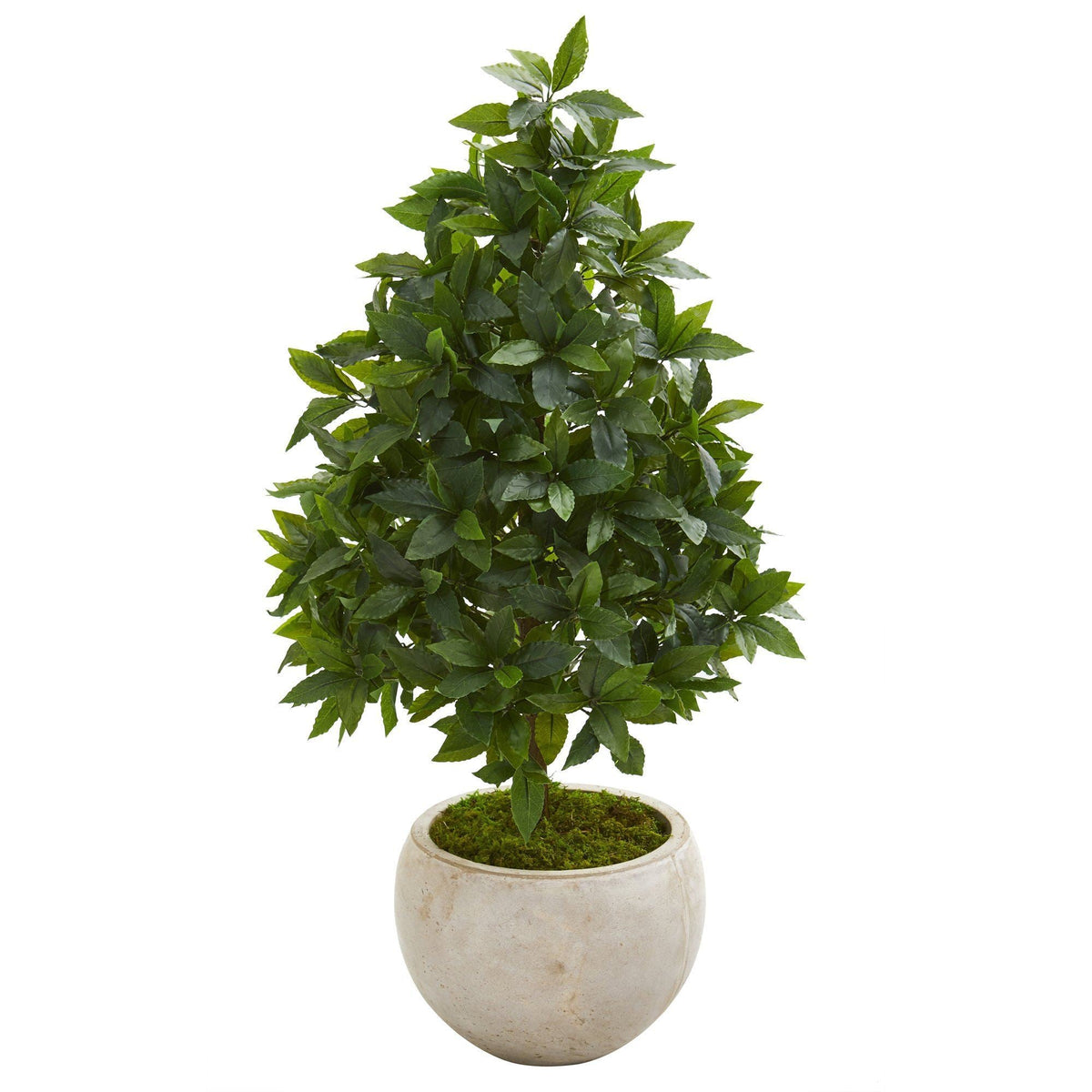 33” Sweet Bay Cone Topiary Artificial Tree in Sand Colored Planter