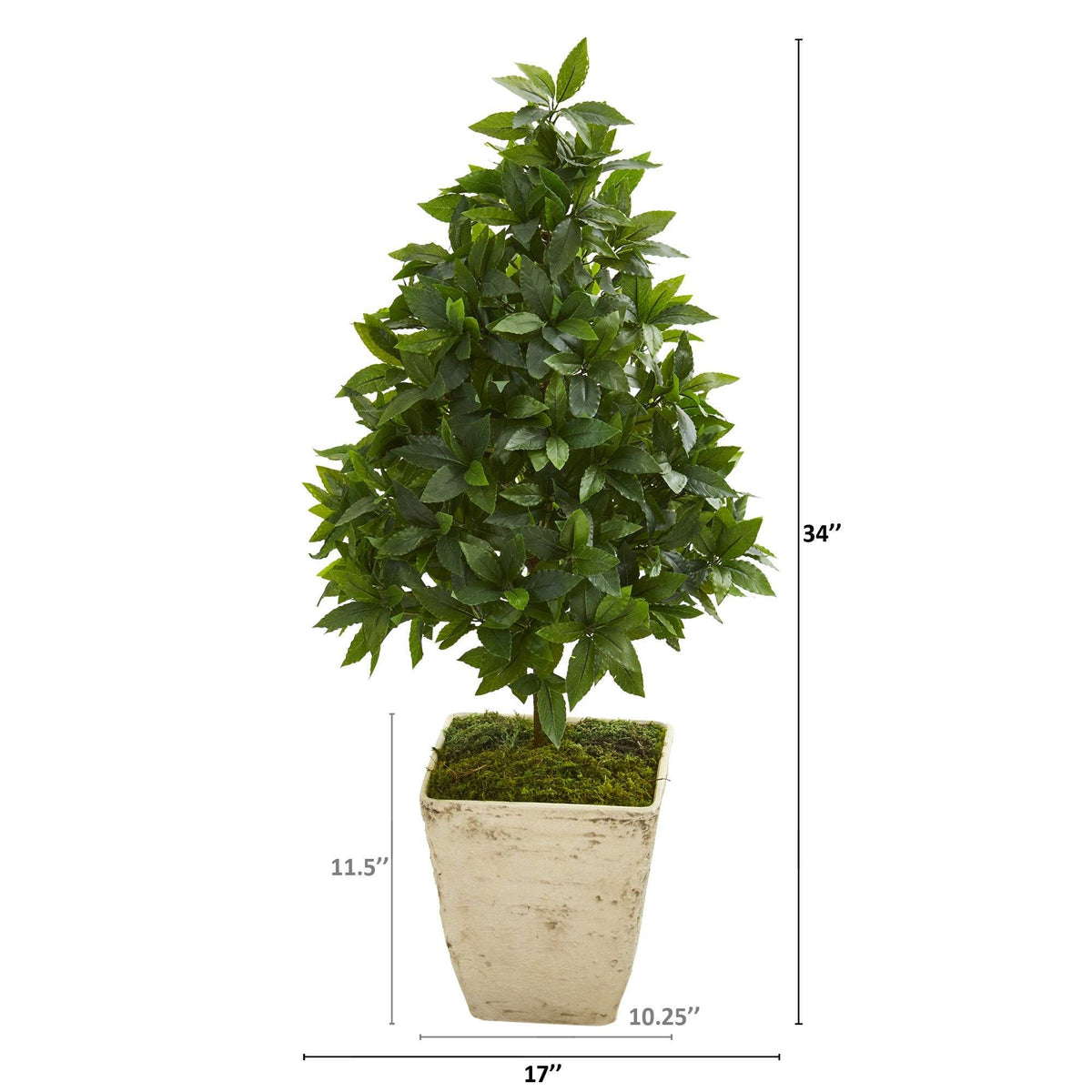 34” Sweet Bay Cone Topiary Artificial Tree in Country White Planter