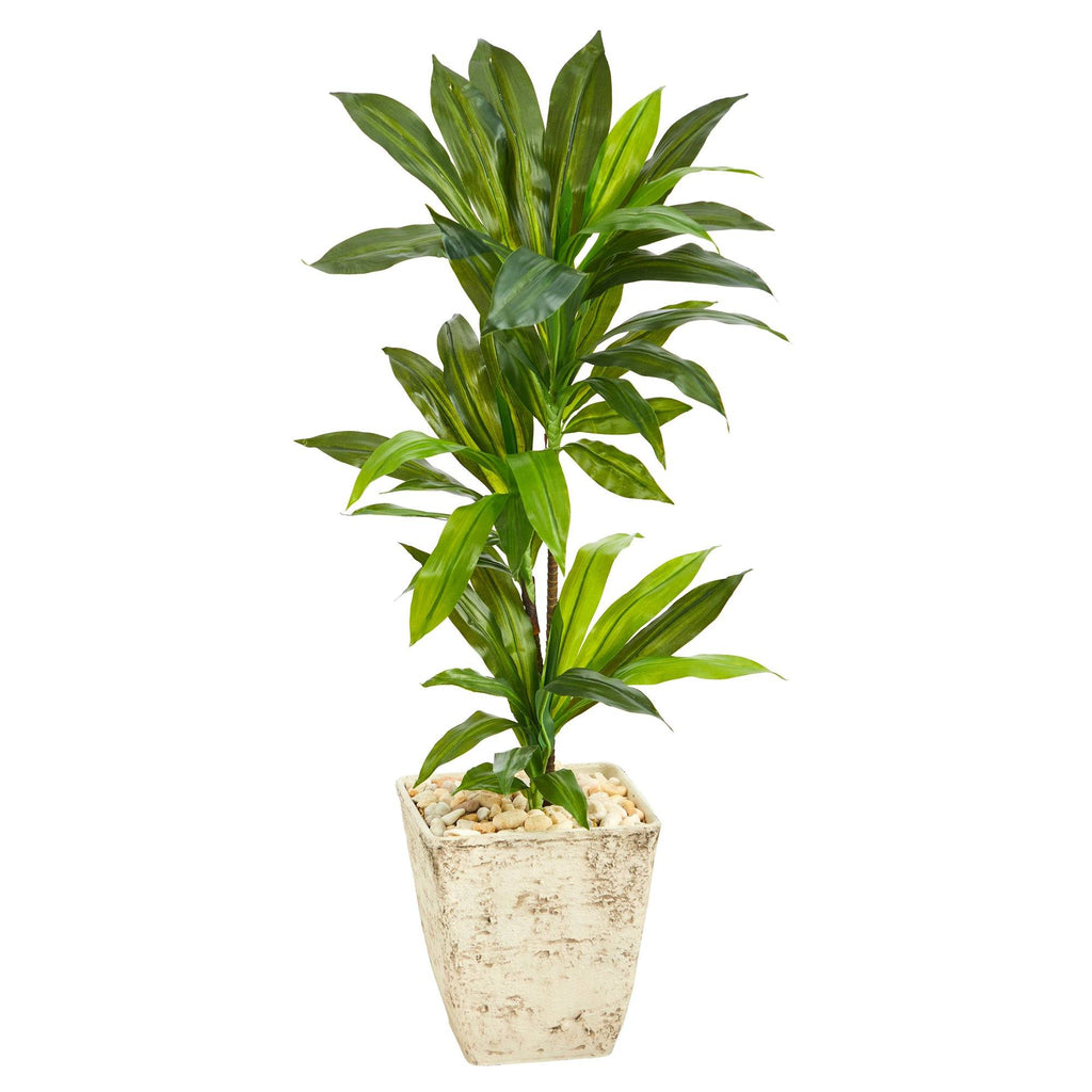 39” Dracaena Artificial Plant in Country White Planter (Real Touch)