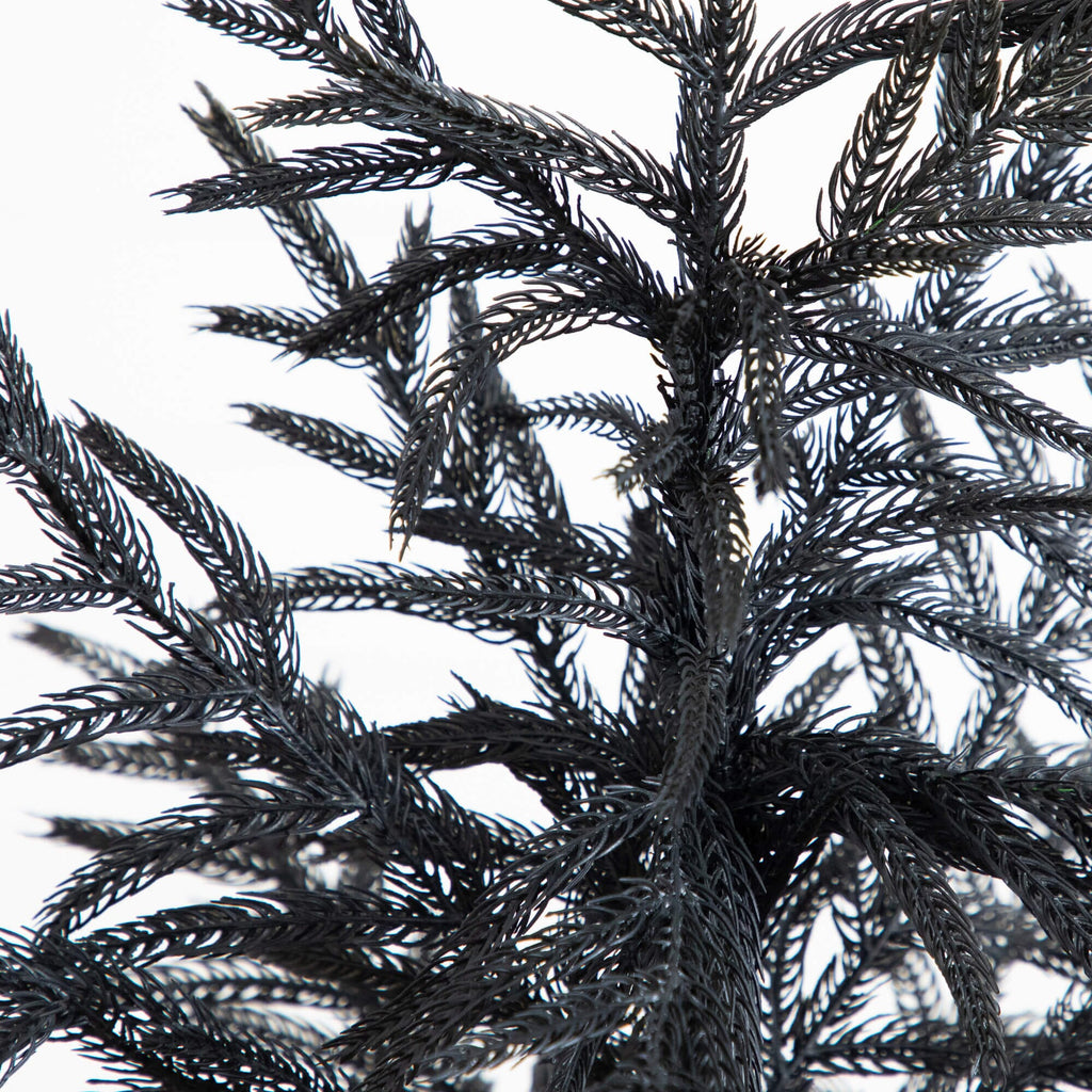 4' Artificial Halloween Real Touch Black Norfolk Pine Christmas Tree with Natural Look