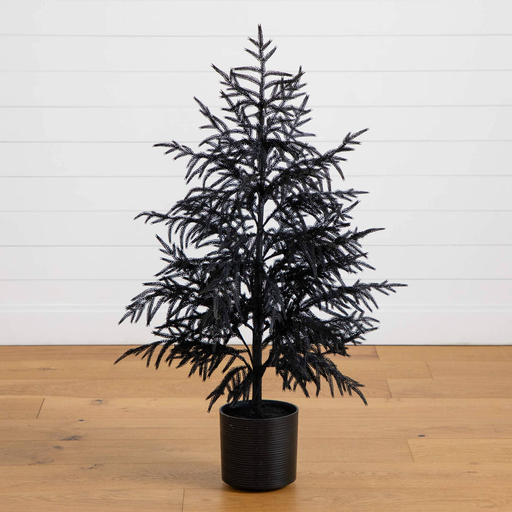 4' Artificial Halloween Real Touch Black Norfolk Pine Christmas Tree with Natural Look