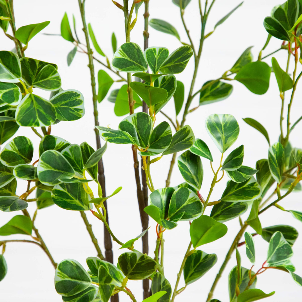 4' Artificial Heart Shaped Ficus Leaf Tree