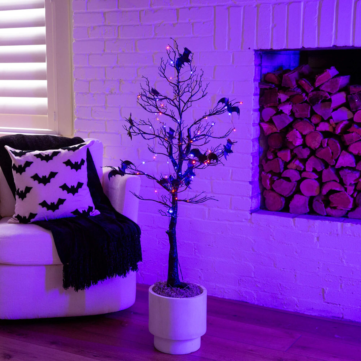 4' Pre-Lit Artificial Halloween Black Spooky Twig Tree with Bats and 120 Orange & Purple LED Lights