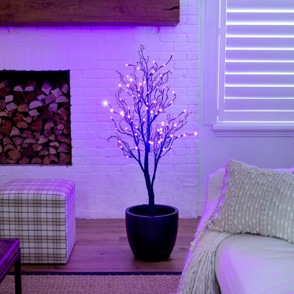 4’ Pre-Lit Halloween Deluxe Black Twig Artificial Tree with 81 Orange & Purple LED Lights