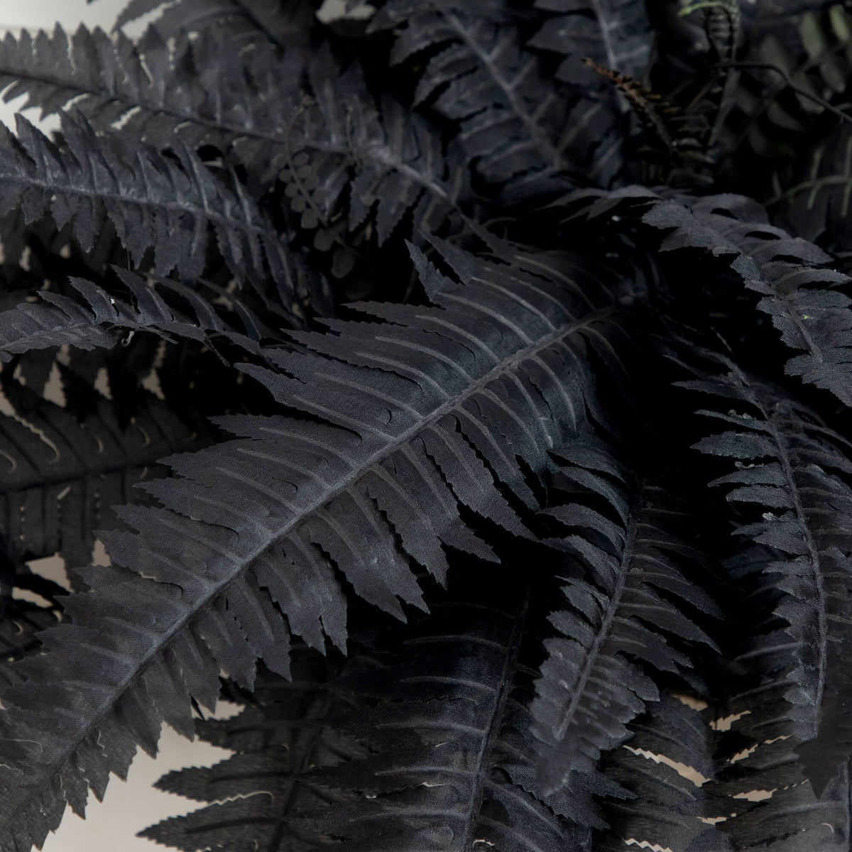 40" Artificial Halloween Black Boston Fern - Set of 2