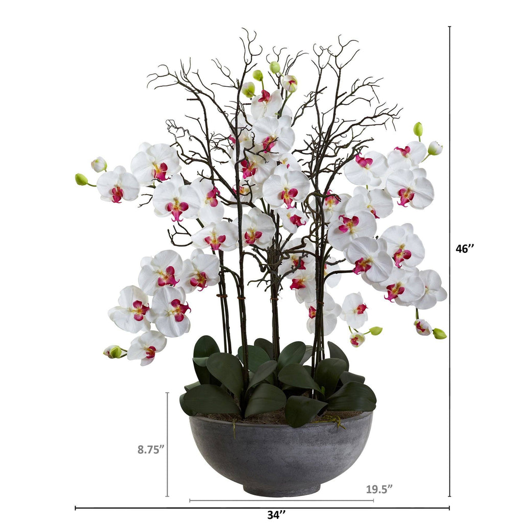 46" Giant Phalaeopsis w/Cement bowl"
