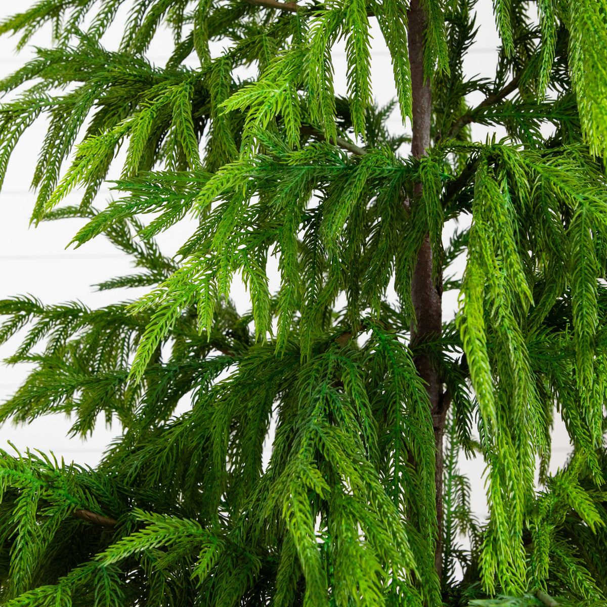 5' Artificial Real Touch Norfolk Island Pine in Metal Tin Planter with Natural Look