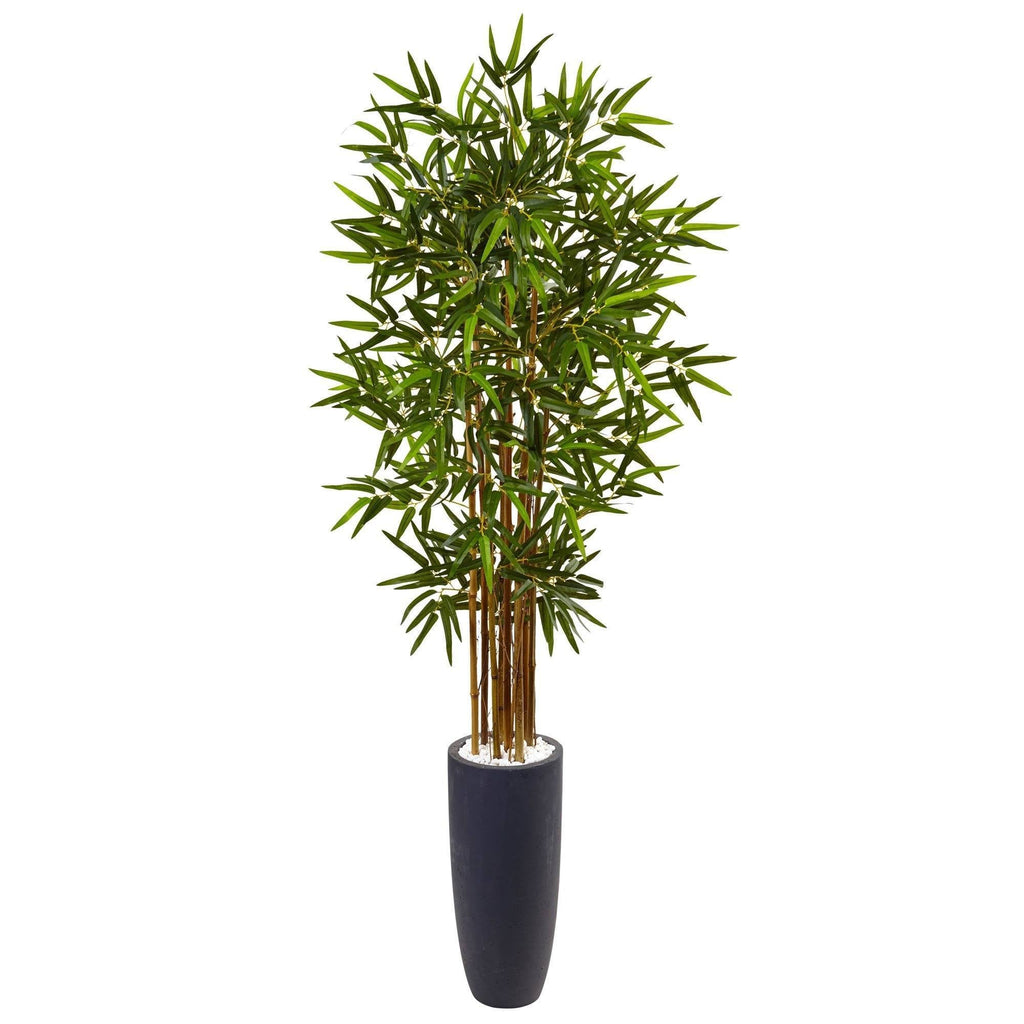 5’ Bamboo Tree in Gray Cylinder Planter