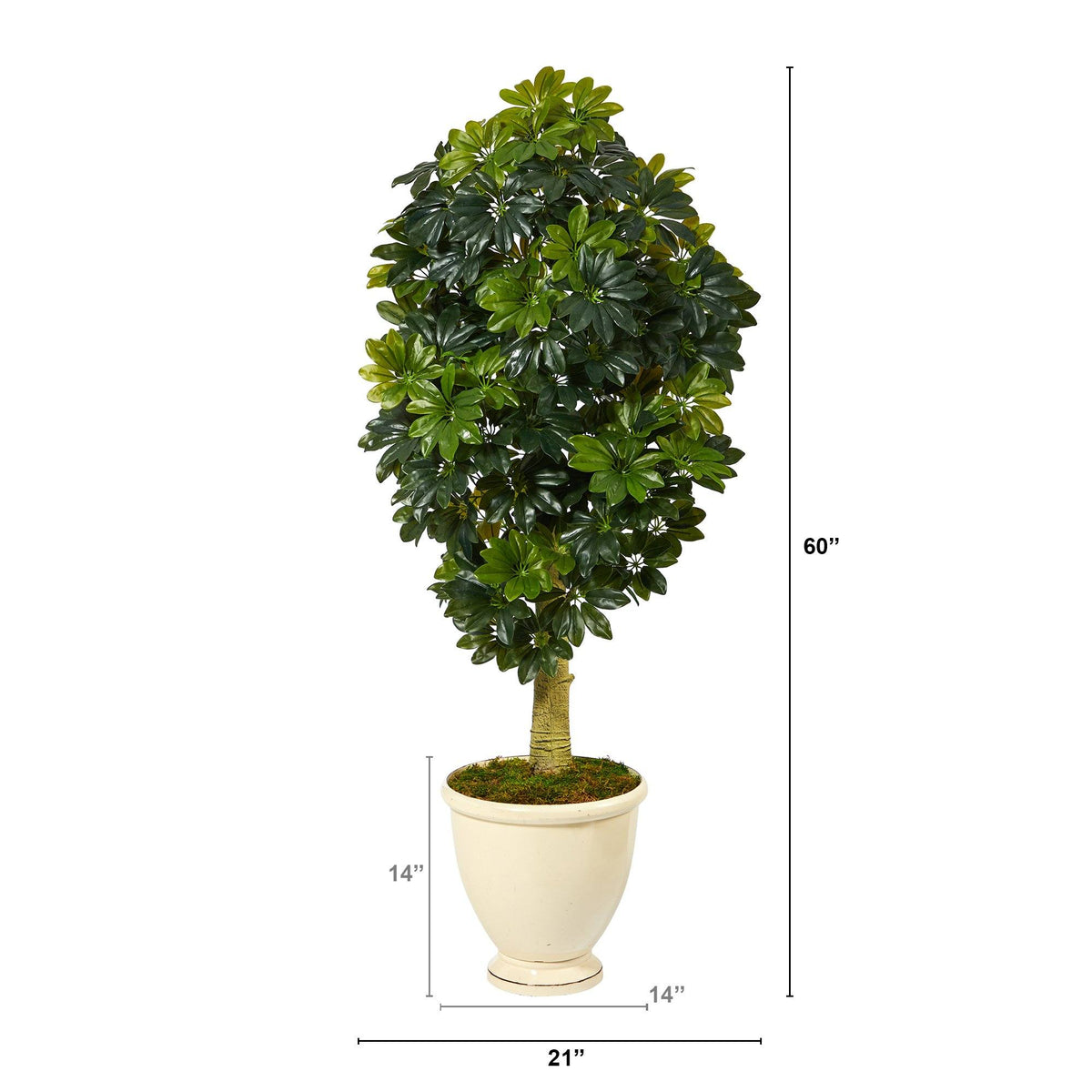 5' Schefflera Artificial Tree in Decorative Urn (Real Touch)