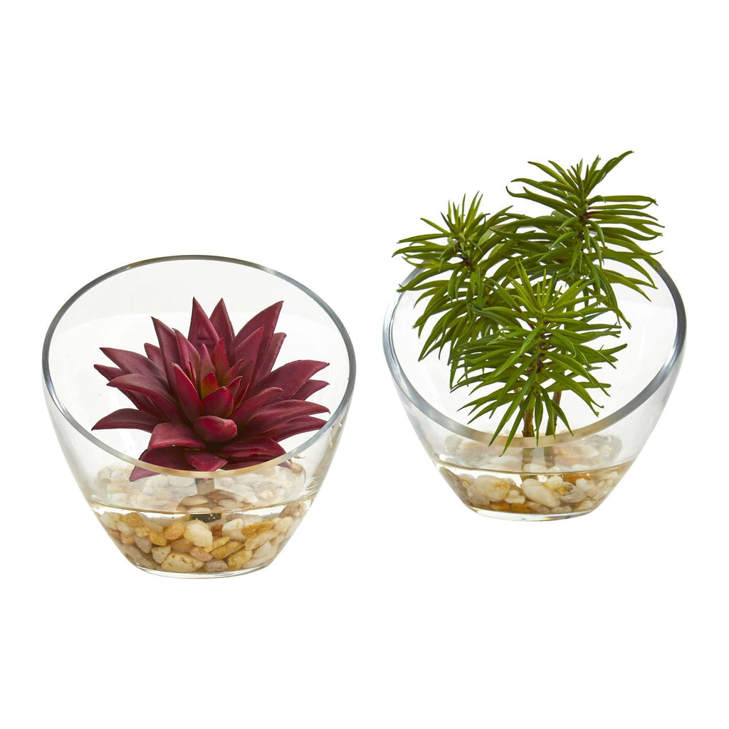 5" Succulent Artificial Plant in Slanted Glass Vase (Set of 2)"