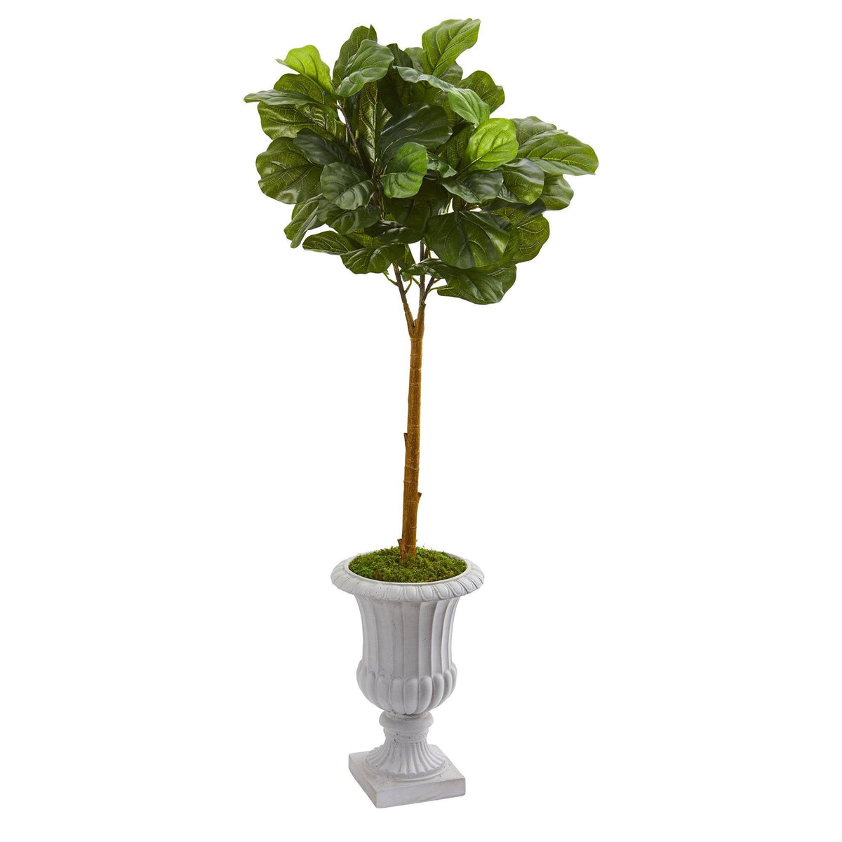 50” Fiddle Leaf Artificial Tree in Decorative Urn (Real Touch)