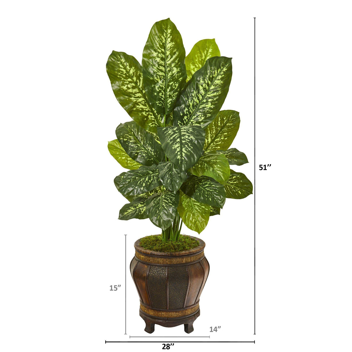 51” Dieffenbachia Artificial Plant in Planter (Real Touch)