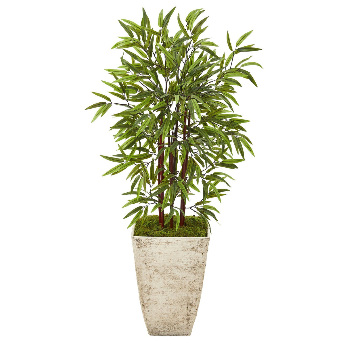 53” Bamboo Artificial Tree in Country White Planter