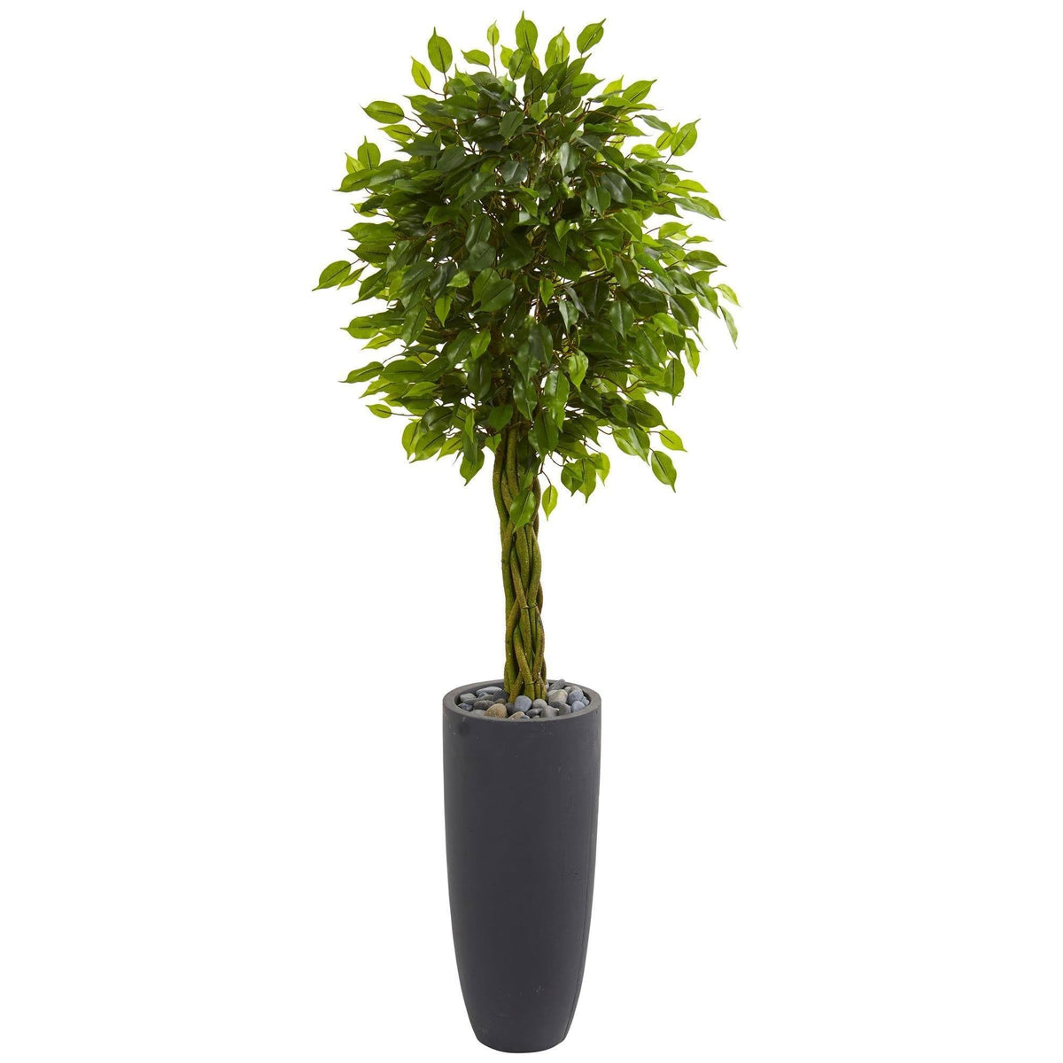 5.5’ Braided Ficus Artificial Tree in Gray Cylinder Planter (Indoor/Outdoor)