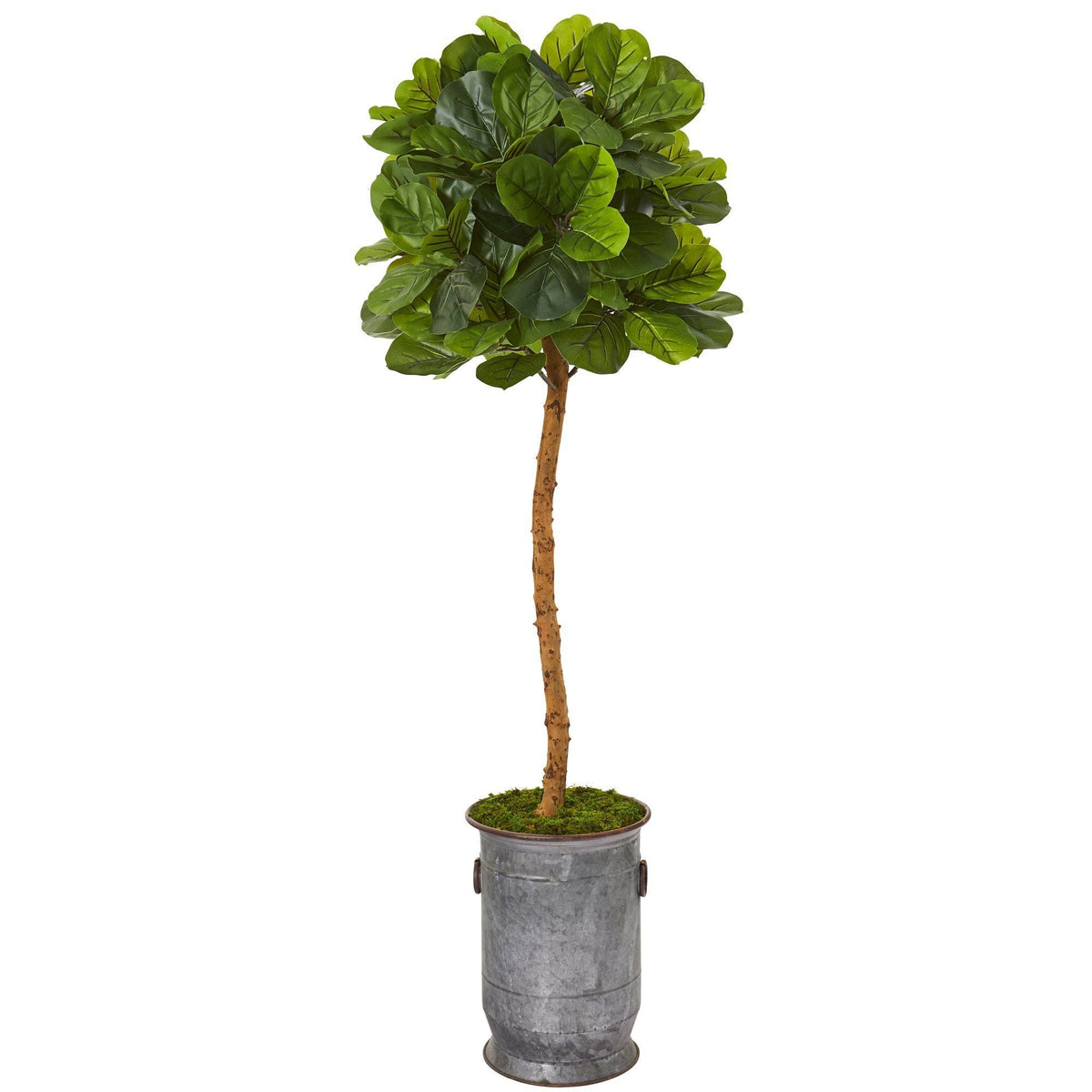 5.5’ Fiddle Leaf Artificial Tree in Copper Trimmed Metal Planter (Real Touch)