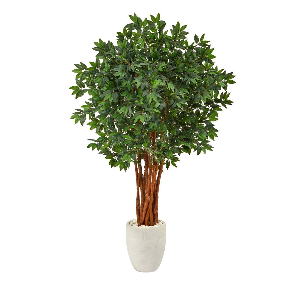 5.5’ Lychee Artificial Tree in White Planter