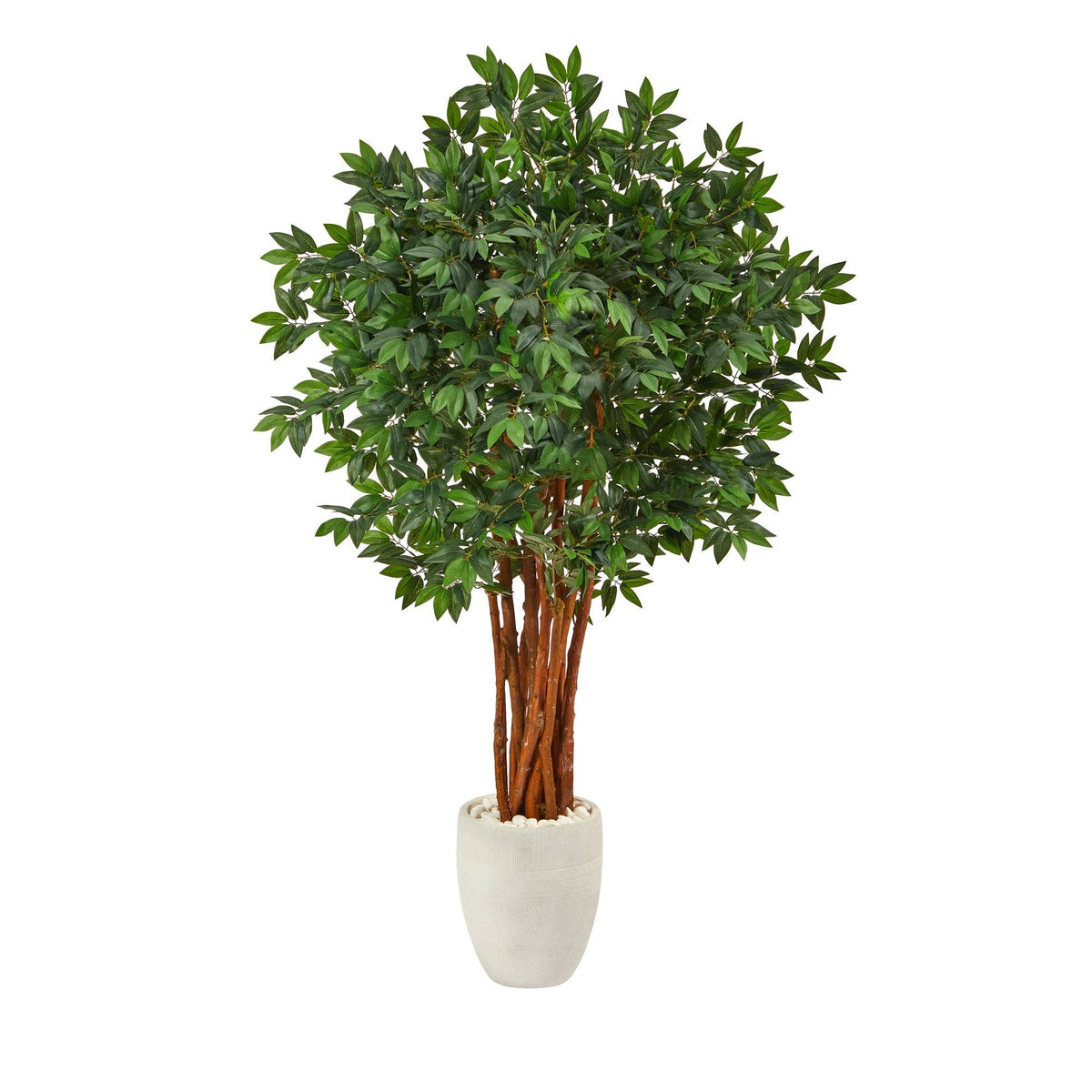 5.5’ Lychee Artificial Tree in White Planter