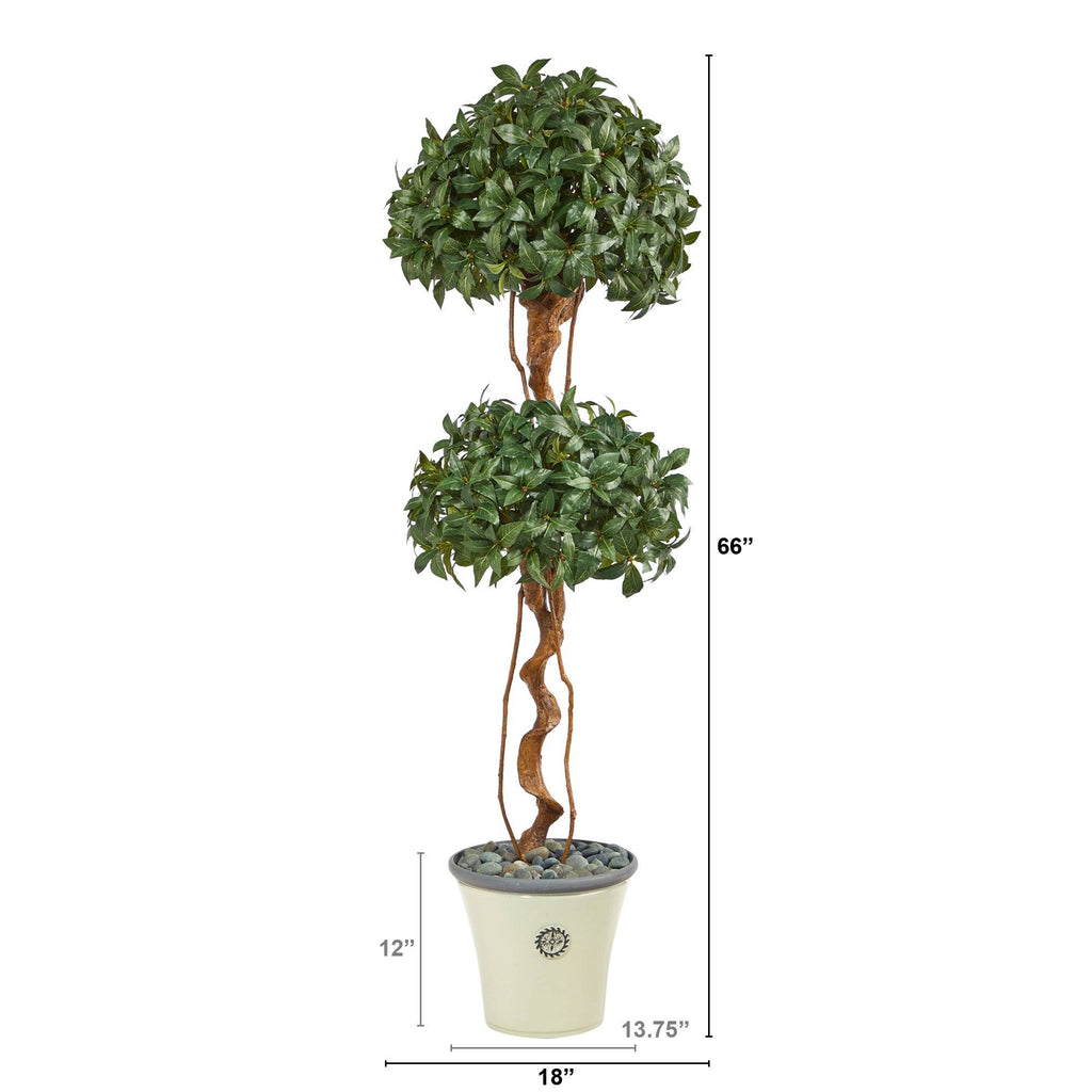 5.5’ Sweet Bay Double Ball Topiary Artificial Tree in Decorative Planter