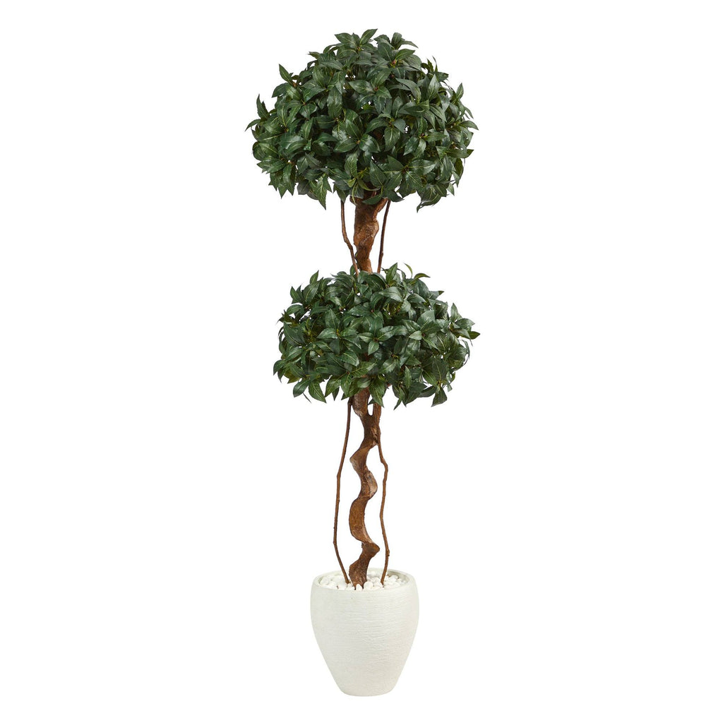 5.5’ Sweet Bay Double Ball Topiary Artificial Tree in White Planter