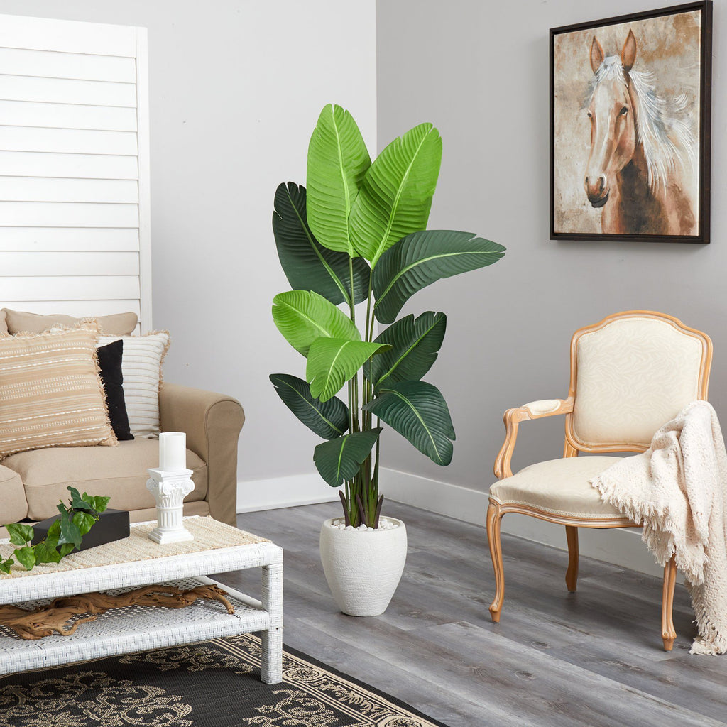 5.5’ Traveler's Palm Artificial Tree in White Planter