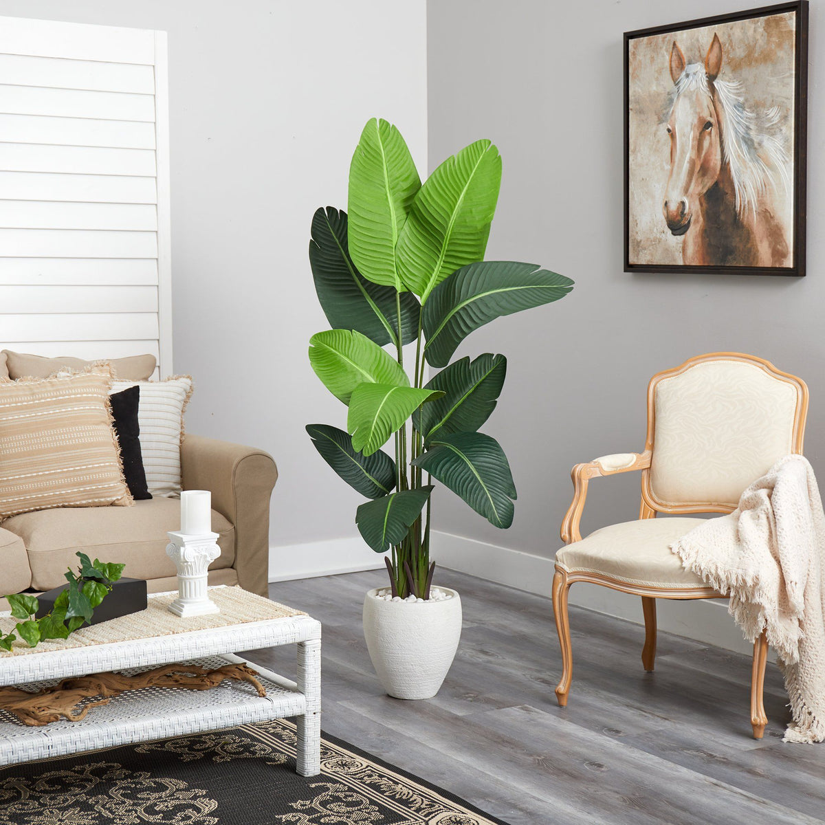 5.5’ Traveler's Palm Artificial Tree in White Planter