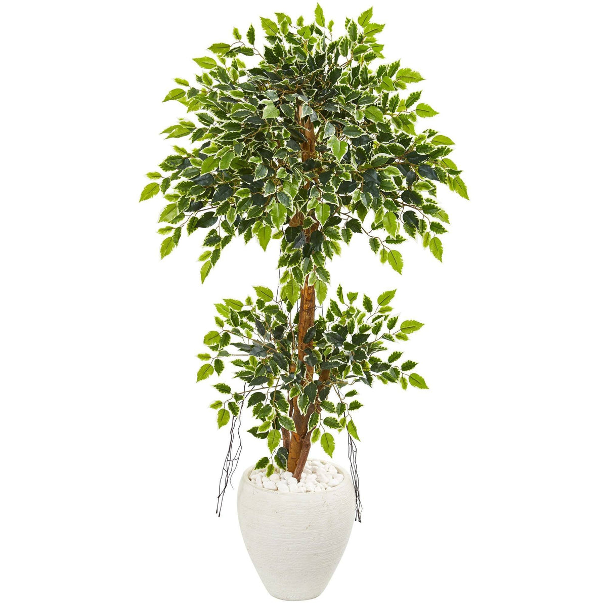 56” Variegated Ficus Artificial Tree in White Planter