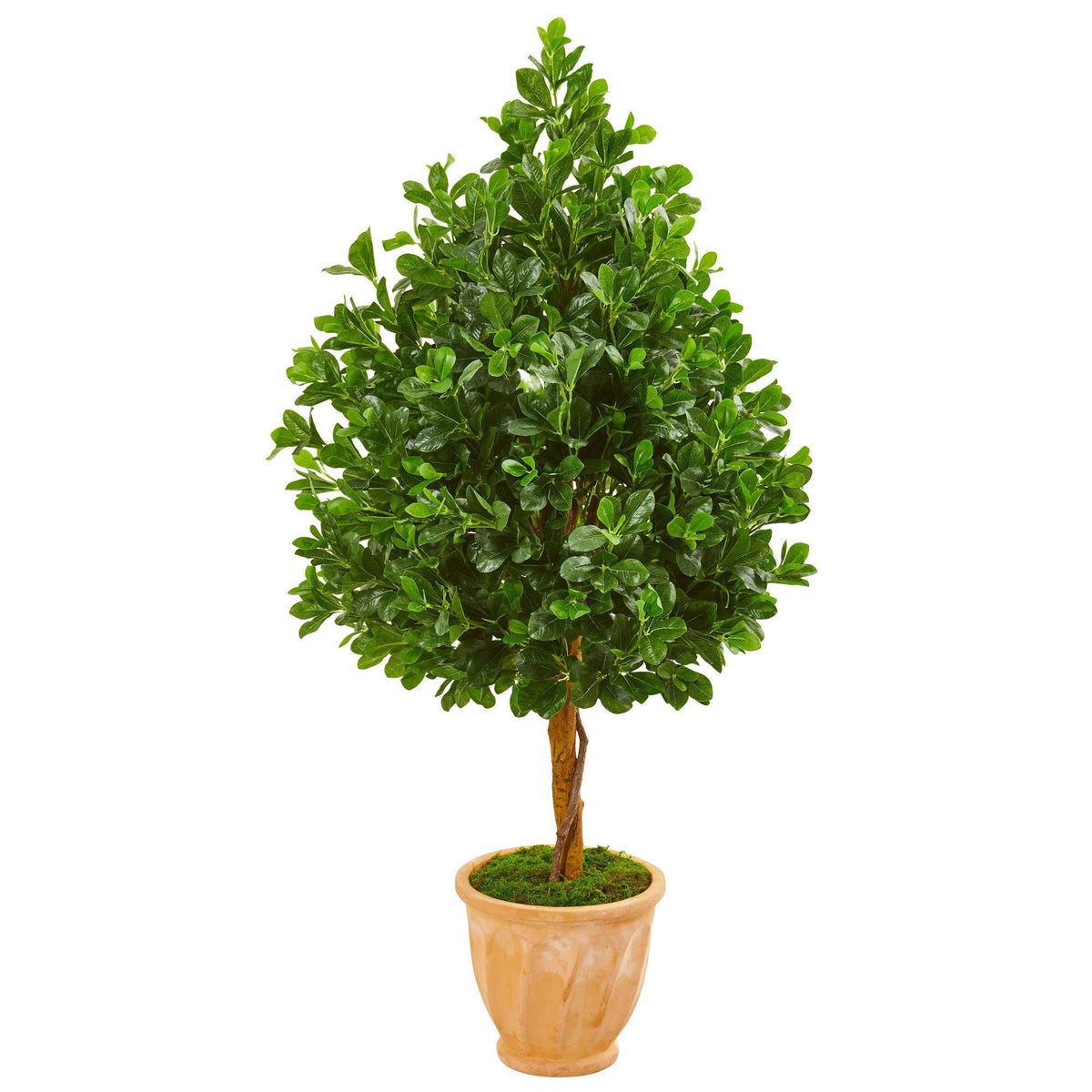 58” Evergreen Artificial Tree in Terra Cotta Planter