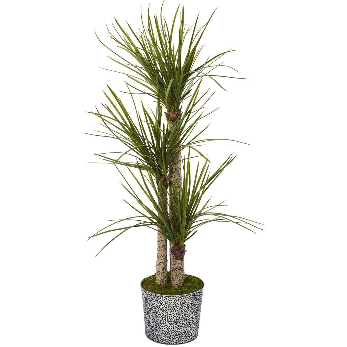 59” Yucca Artificial Tree in Black Embossed Tin Planter