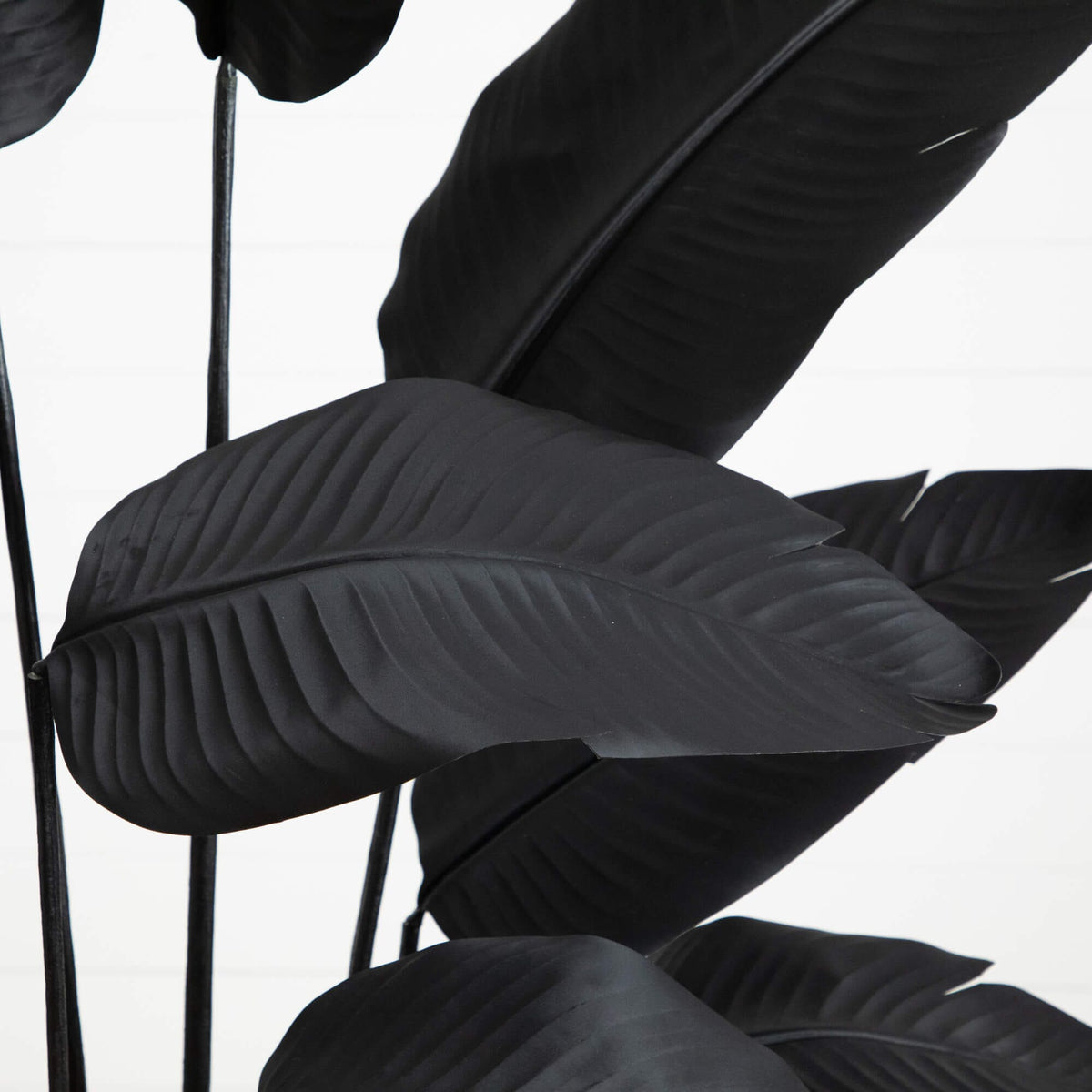6' Artificial Halloween Black Traveler's Palm Tree