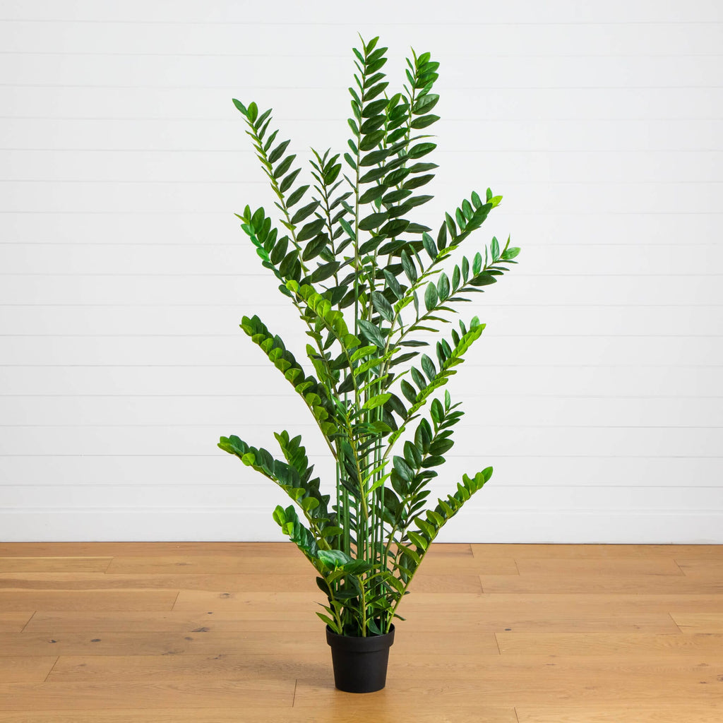 6' Artificial Zamioculcas Plant