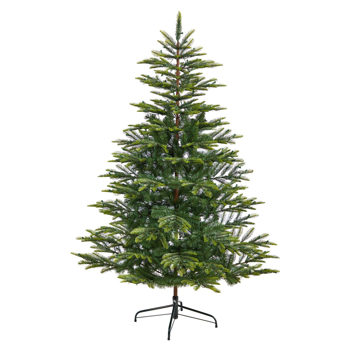 6' Barcelona Mountain Spruce Christmas Tree with 873 Bendable Branches and 450 Clear LED Lights