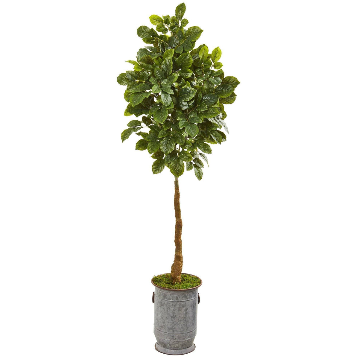 6’ Beech Leaf Artificial Tree in Metal Planter with Copper Trimming
