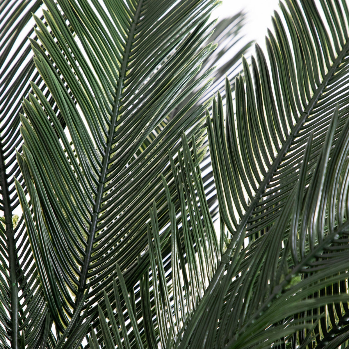 6’ Cycas Artificial Tree UV Resistant (Indoor/Outdoor)