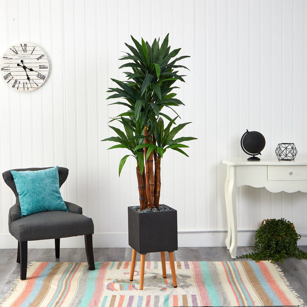 6’ Dracaena Artificial Tree in Black Planter with Stand