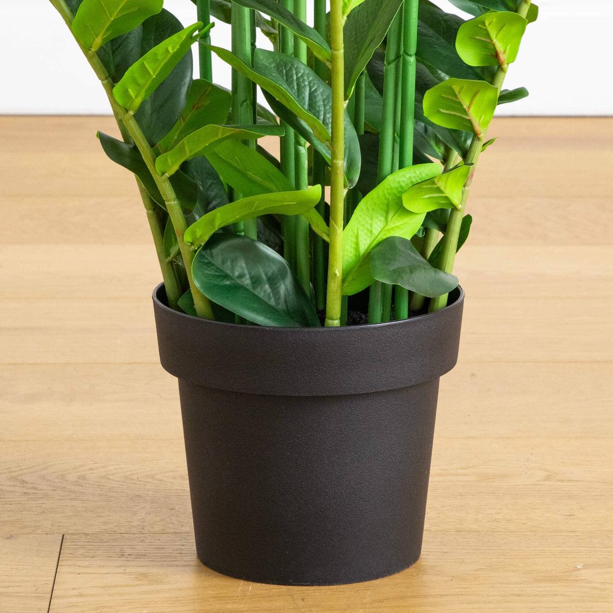 6' Artificial Zamioculcas Plant