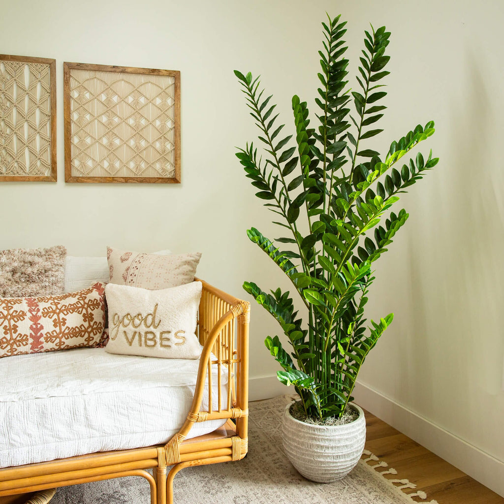 6' Artificial Zamioculcas Plant