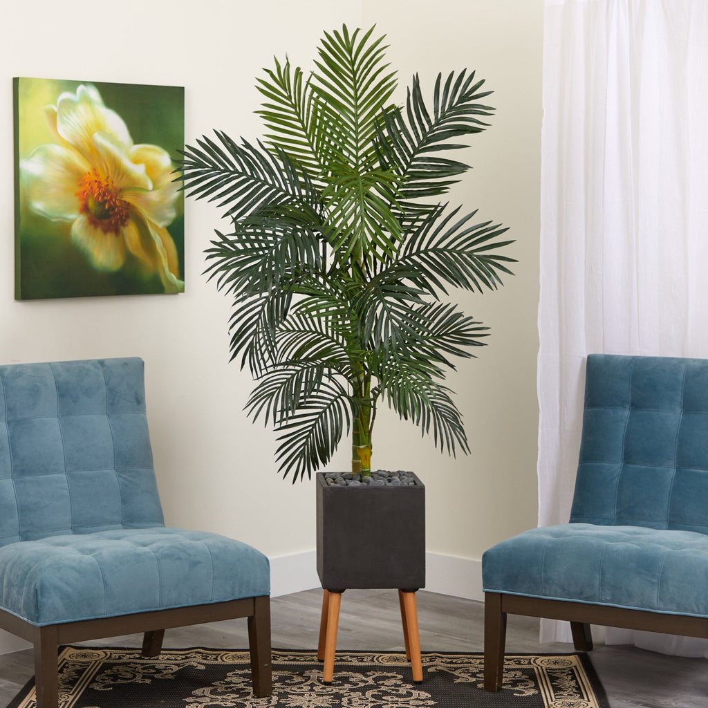 6’ Golden Cane Artificial Palm Tree in Black Modern Planter with Stand