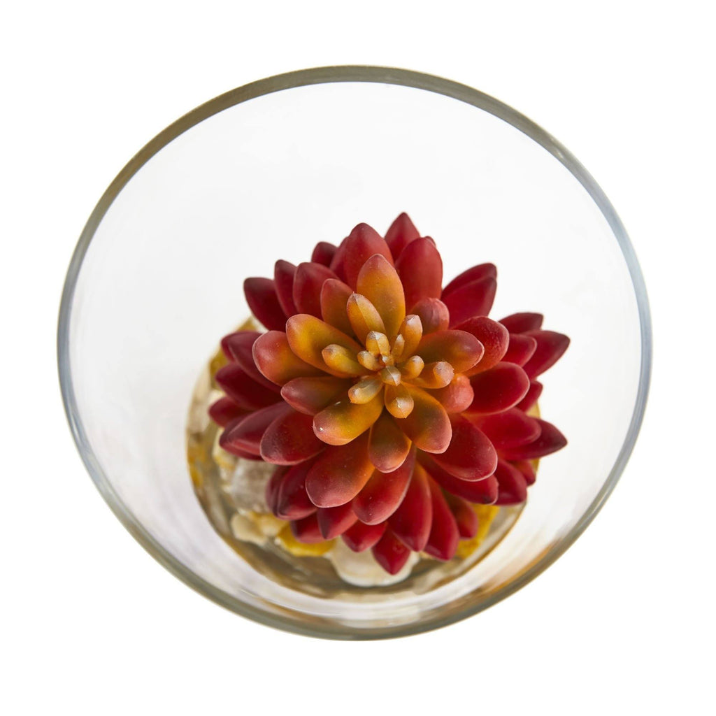 6” Succulent Artificial Plant in Glass Vase (Set of 2)