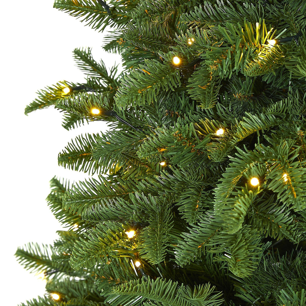 6’ Wyoming Fir Artificial Christmas Tree with 350 Clear LED Lights and 844 Bendable Branches