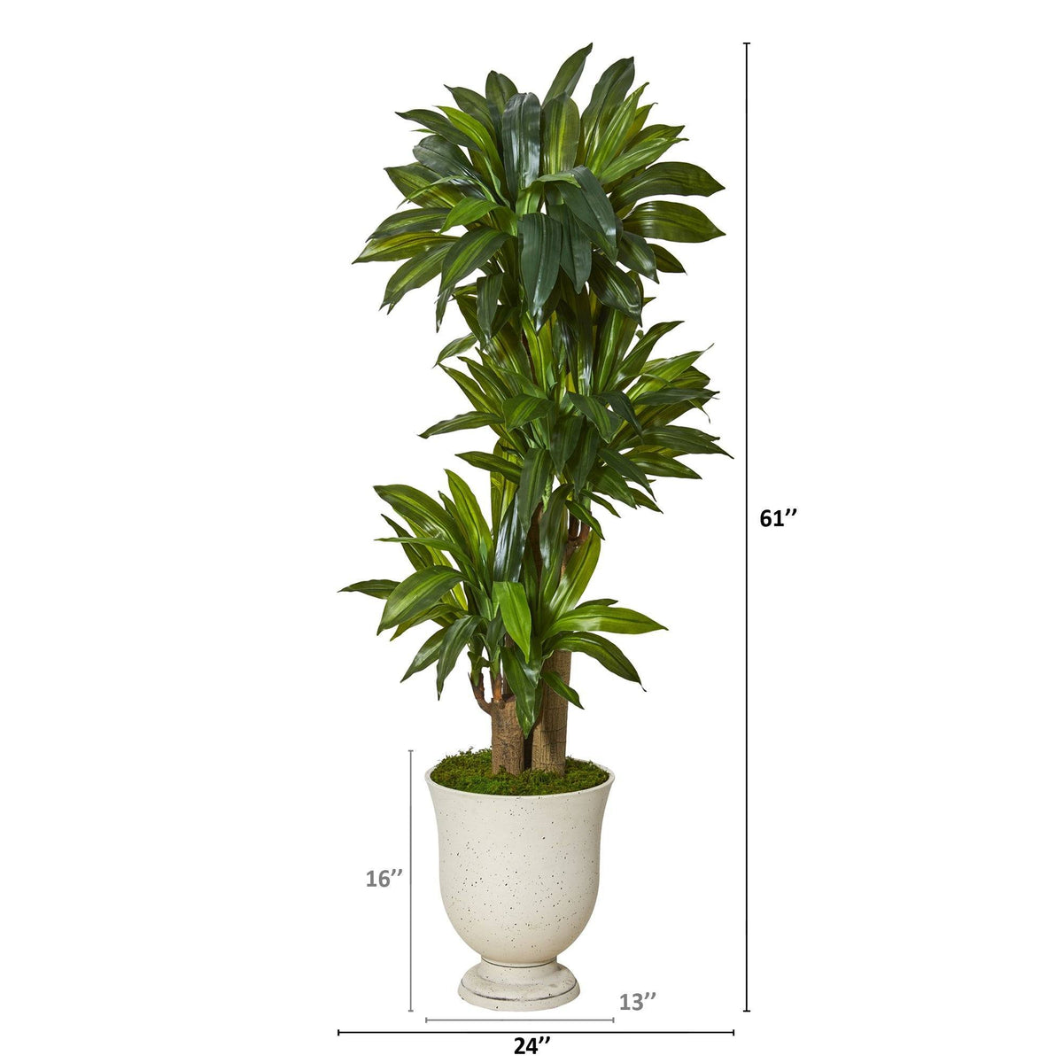 61” Corn Stalk Dracaena Artificial Plant in Decorative Urn (Real Touch)