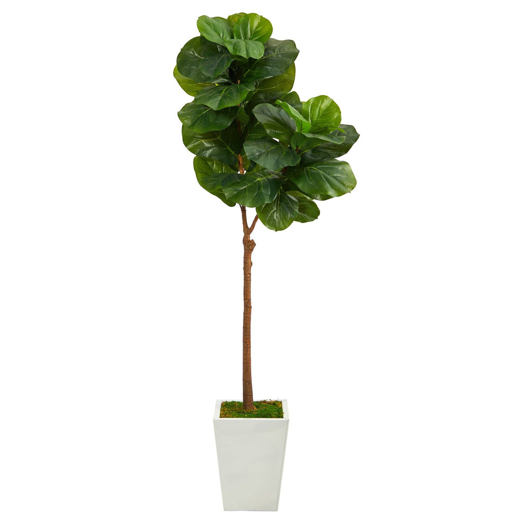 62” Fiddle Leaf Artificial Tree in White Metal Planter