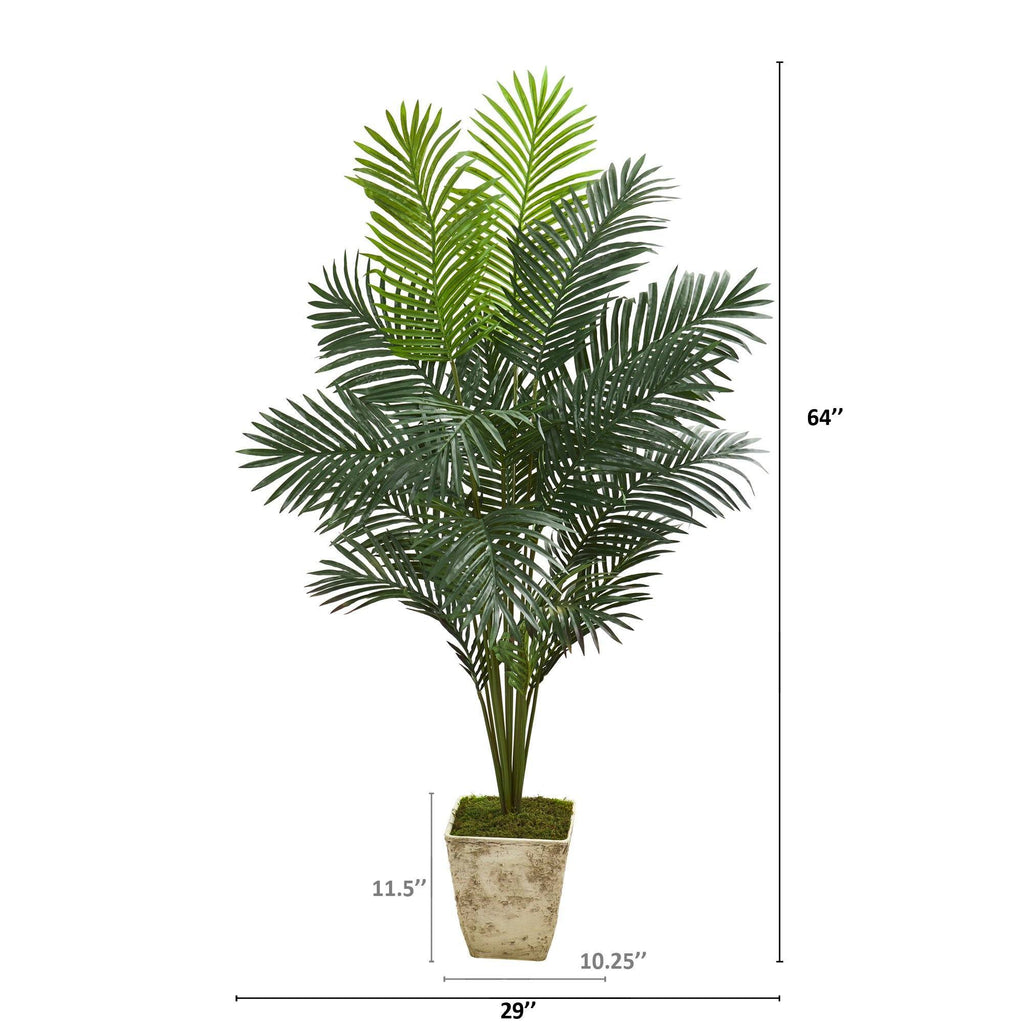 64” Paradise Palm Artificial Plant in Country White Planter