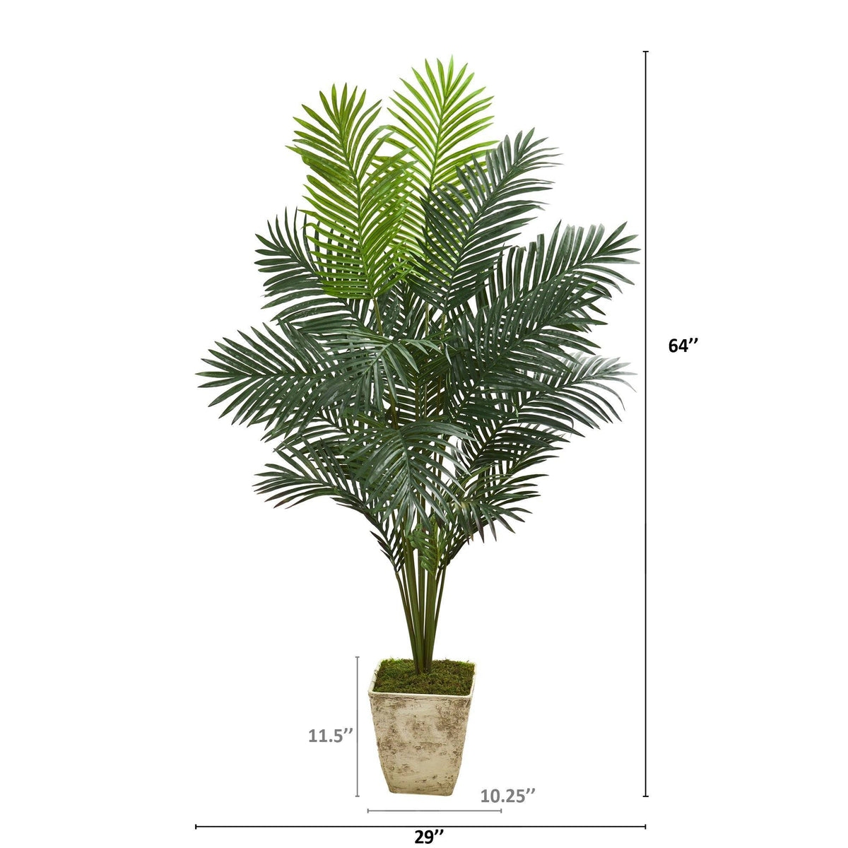 64” Paradise Palm Artificial Plant in Country White Planter