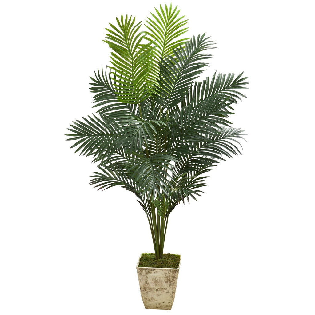 64” Paradise Palm Artificial Plant in Country White Planter